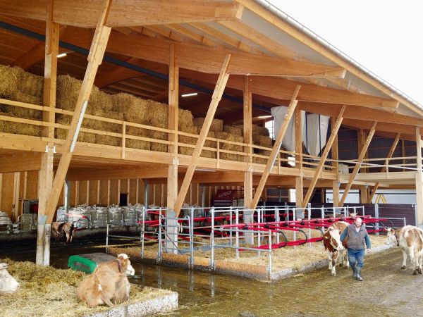 Alfoeldi FiBLStall Okt2020 159