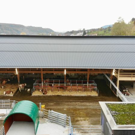 Alfoeldi FiBLStall Okt2020 647