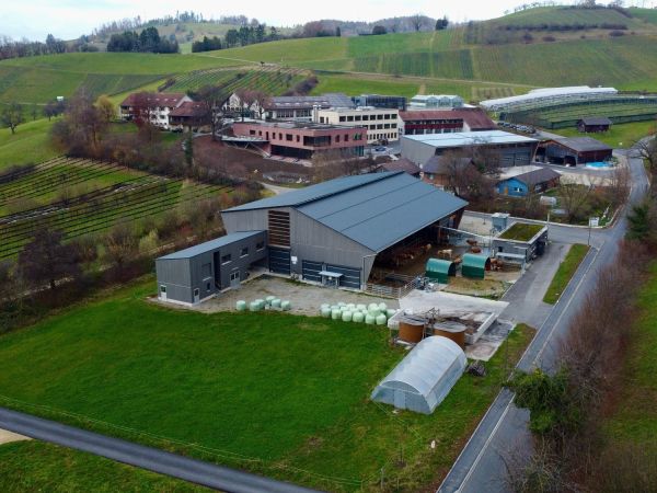 Drohnenansicht Gel  nde