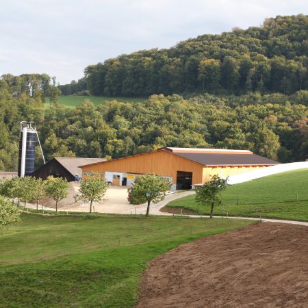 Neubau Boxenlaufstall   Heid Lukas  Pratteln 01