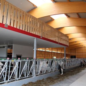 Neubau Boxenlaufstall -Heid Lukas, Pratteln