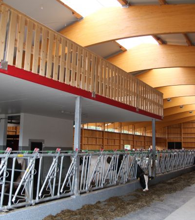 Neubau Boxenlaufstall