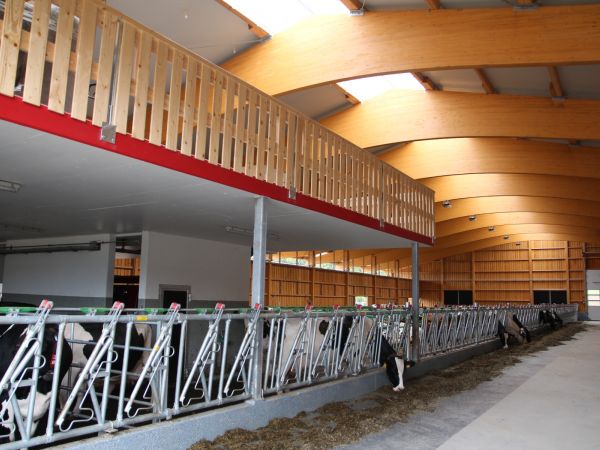 <b>Neubau Boxenlaufstall</b> -<br />Heid Lukas, Pratteln