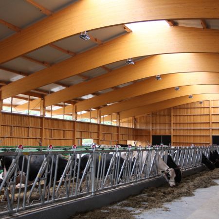 Neubau Boxenlaufstall   Heid Lukas   Pratteln 03