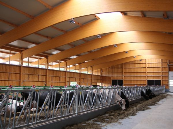 Neubau Boxenlaufstall   Heid Lukas   Pratteln 03