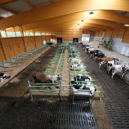 Neubau Boxenlaufstall   Heid Lukas   Pratteln 04