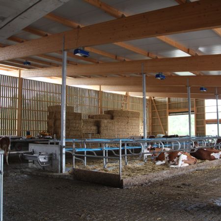 Neubau Boxenlaufstall   M  ller Hans   Sch  ftland 03