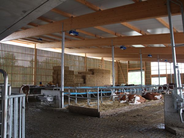 Neubau Boxenlaufstall   M  ller Hans   Sch  ftland 03