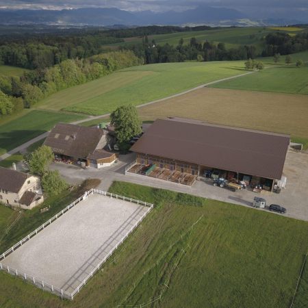 Neubau Boxenlaufstall mit Pferdeboxen   Meier Herbert   Muri 02