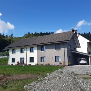 Neubau Zweifamilienhaus -Meyer Simon, Dintikon