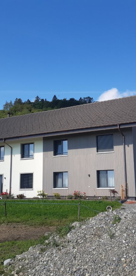 Neubau Zweifamilienhaus Dintikon