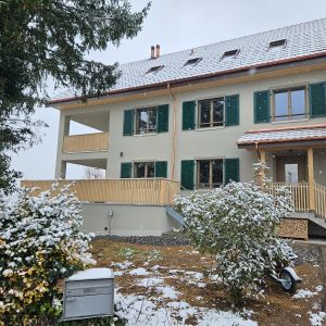 Abbruch- und Neubau Wohnhaus Meisterschwanden