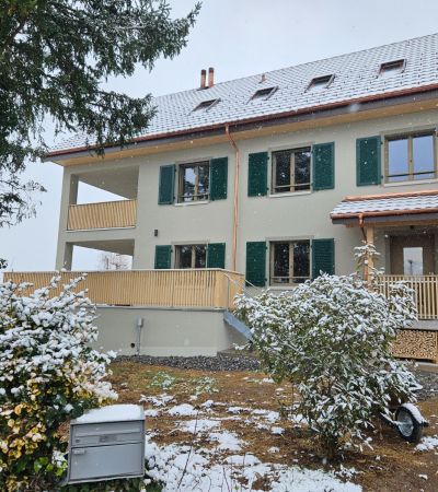 Abbruch und Neubau Wohnhaus