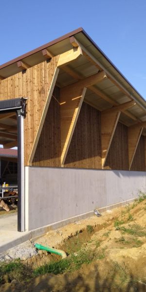 Neubau Rindviehmaststall Remigen