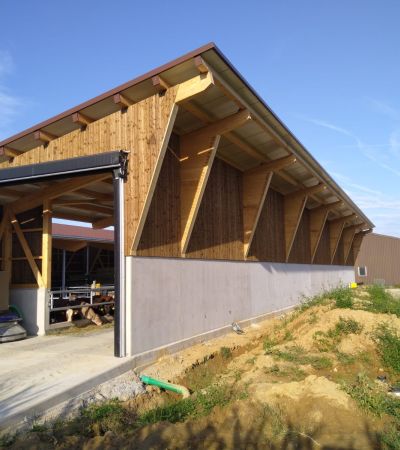 Neubau Rindviehmaststall