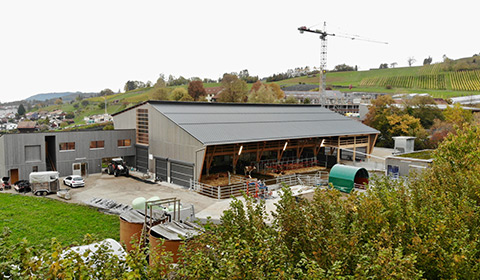 Landwirtschaftliche Bauten